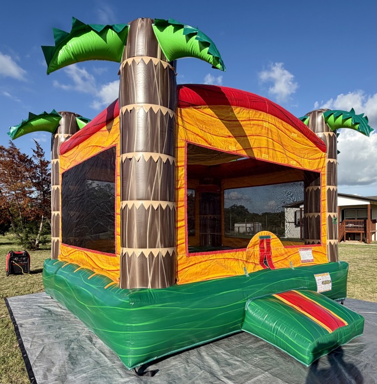 Bounce Houses Bounce Houses